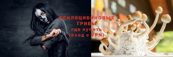 кокс Арсеньев