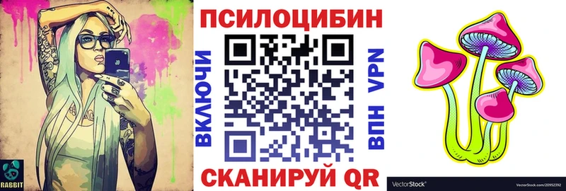 где купить наркоту  Салаир  Псилоцибиновые грибы GOLDEN TEACHER 