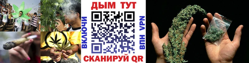 МАРИХУАНА Amnesia  где найти наркотики  Салаир 